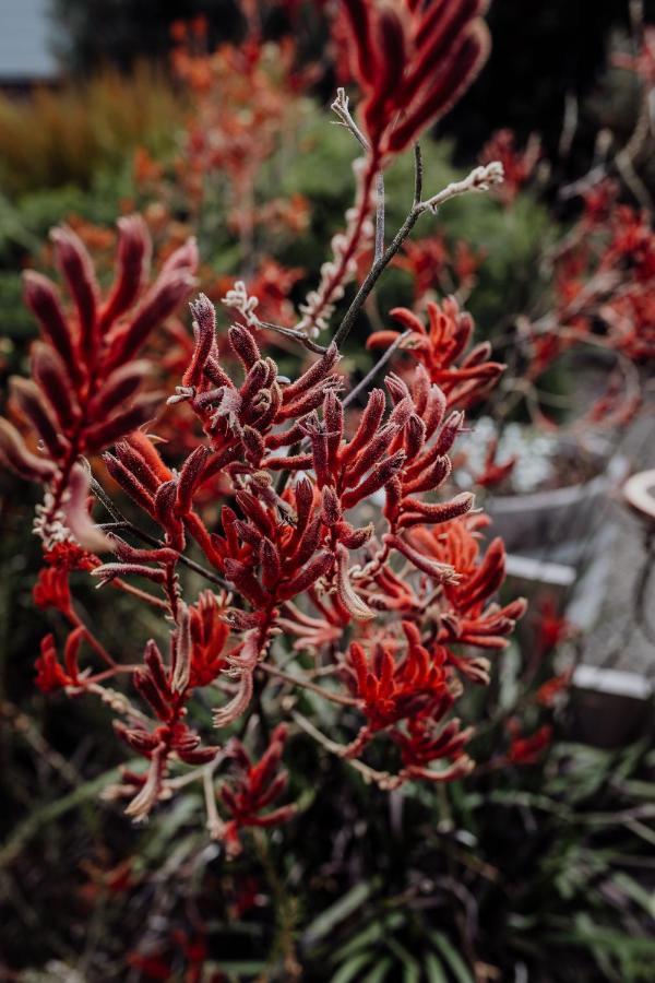 Willa Bicheno Gardens Zewnętrze zdjęcie